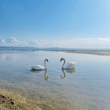 " Sunshine Am See " FDH Εξωτερικό φωτογραφία
