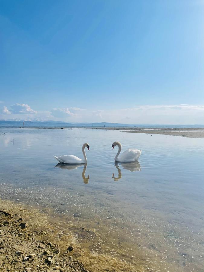 " Sunshine Am See " FDH Εξωτερικό φωτογραφία