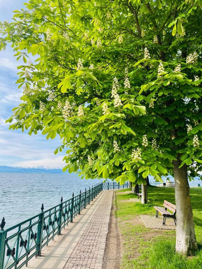 " Sunshine Am See " FDH Εξωτερικό φωτογραφία